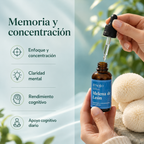 Extracto de Melena de León - Memoria y Enfoque Mental