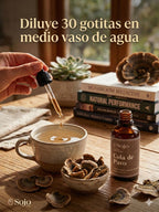 Extracto de Cola de Pavo - Refuerzo para el Sistema Inmune