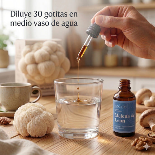 Extracto de Melena de León - Memoria y Enfoque Mental