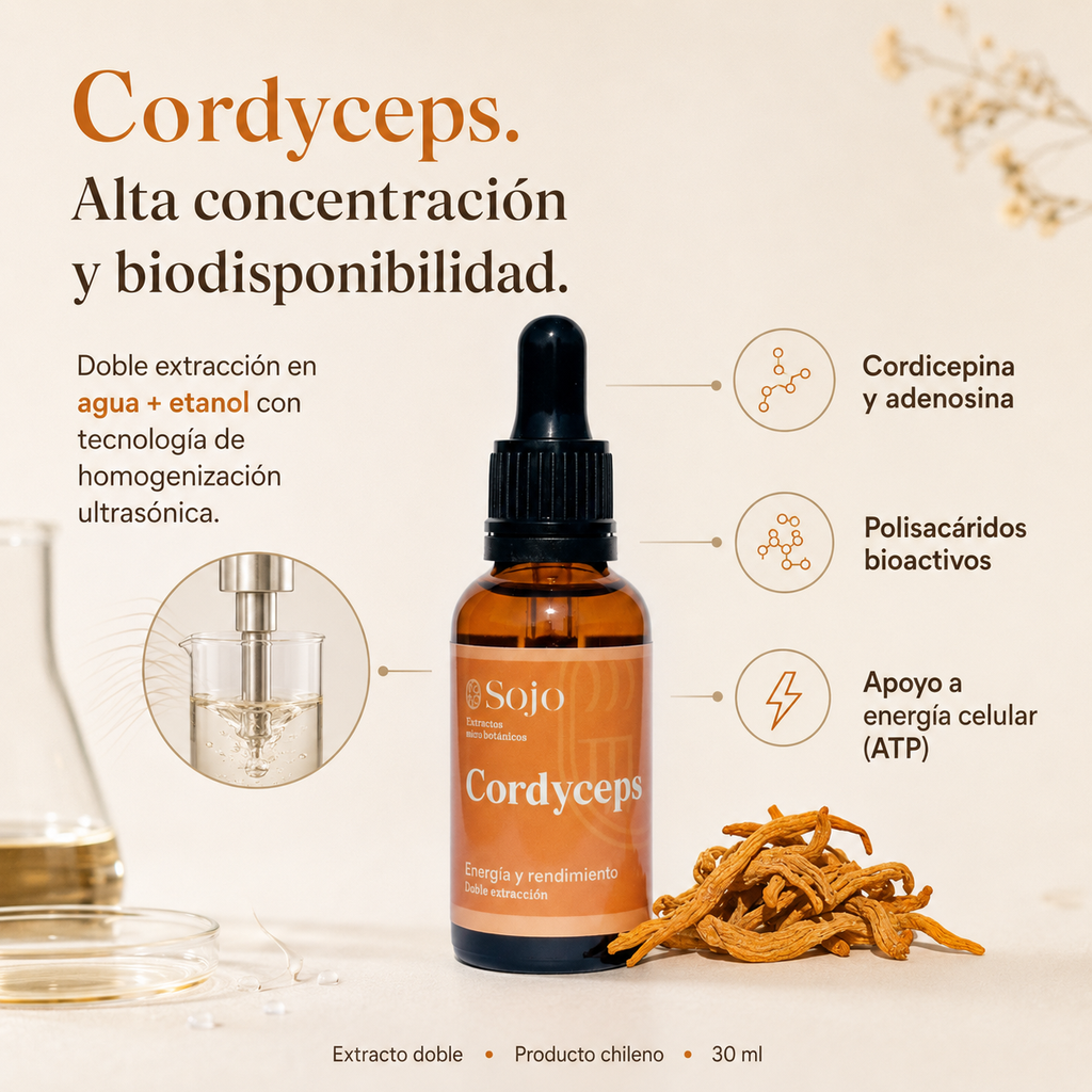 Extracto de Cordyceps - Energía Natural y Rendimiento Deportivo