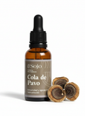 Extracto de hongo Cola de Pavo Sojo Foods refuerzo sistema inmune y microbiota