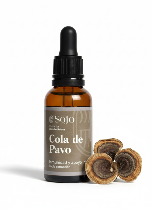 Extracto de hongo Cola de Pavo Sojo Foods refuerzo sistema inmune y microbiota