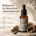 Extracto de Cola de Pavo - Refuerzo para el Sistema Inmune
