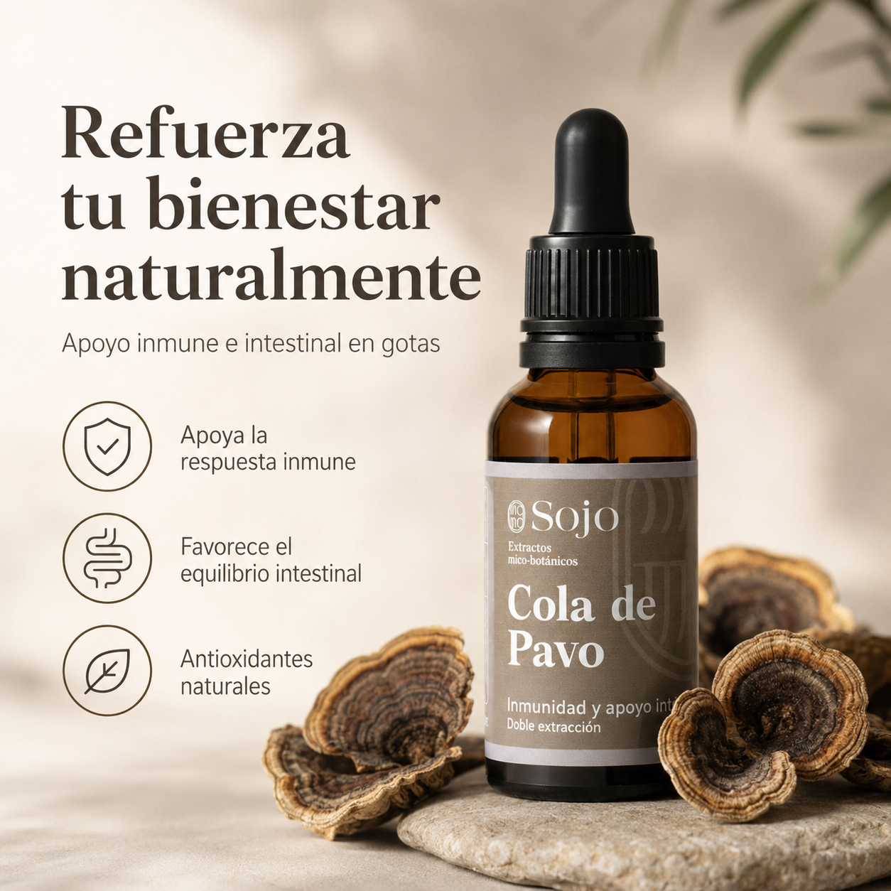 Extracto de Cola de Pavo - Refuerzo para el Sistema Inmune