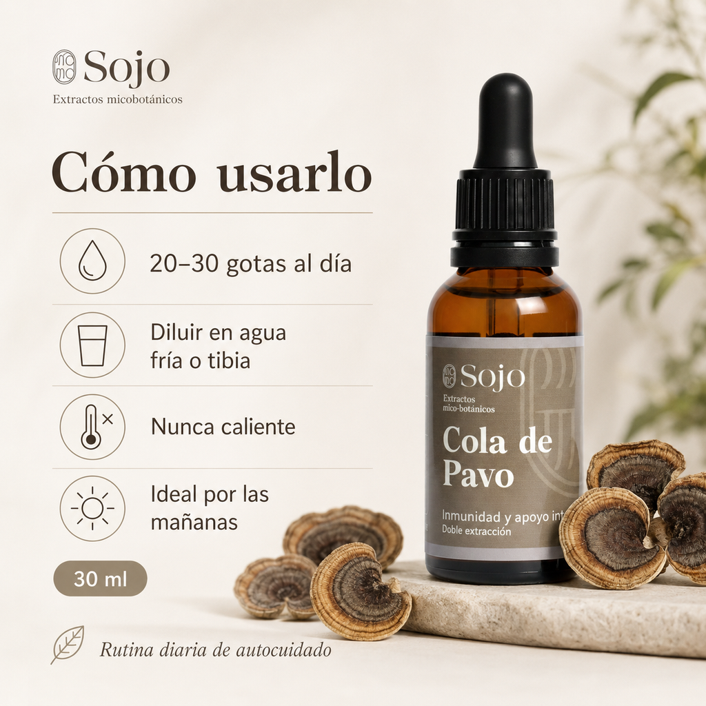 Extracto de Cola de Pavo - Refuerzo para el Sistema Inmune