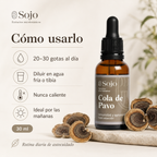 Extracto de Cola de Pavo - Refuerzo para el Sistema Inmune
