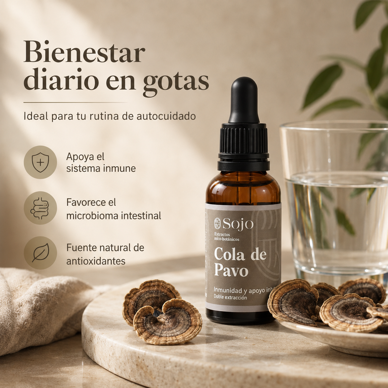 Extracto de Cola de Pavo - Refuerzo para el Sistema Inmune