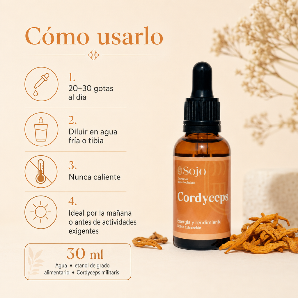 Extracto de Cordyceps - Energía Natural y Rendimiento Deportivo