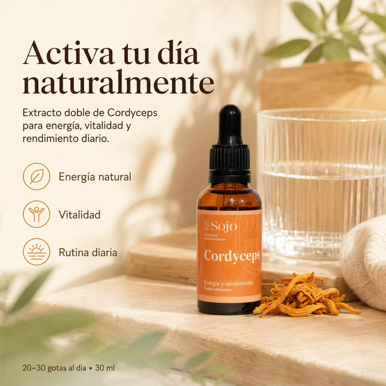 Extracto de Cordyceps - Energía Natural y Rendimiento Deportivo