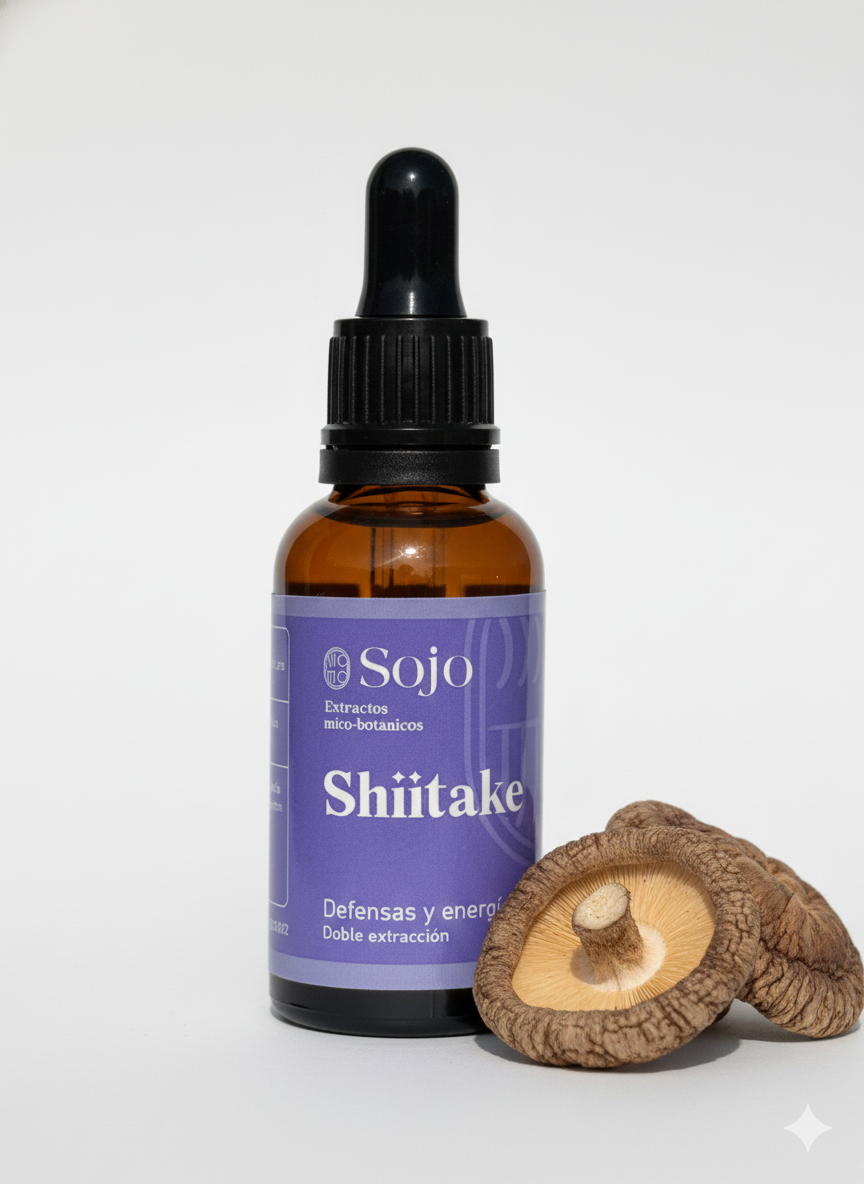 Extracto de Shiitake - Bienestar Cardiovascular y Defensas Naturales