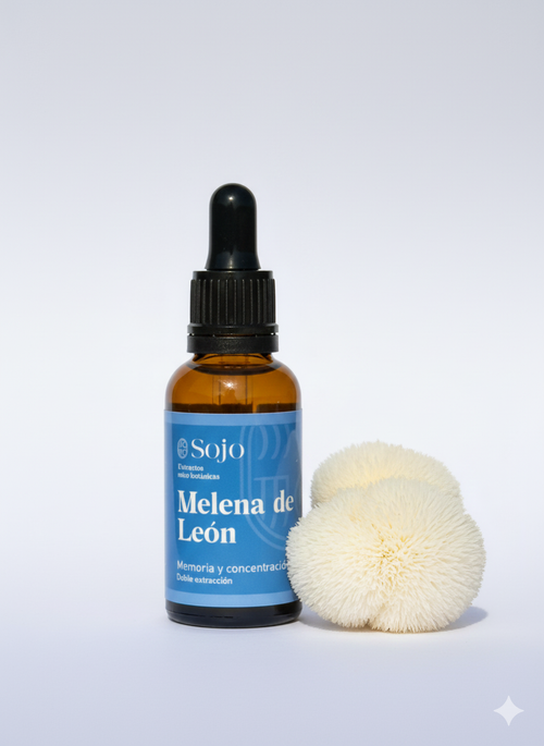 Extracto de hongo Melena de León Sojo Foods para la memoria y enfoque mental