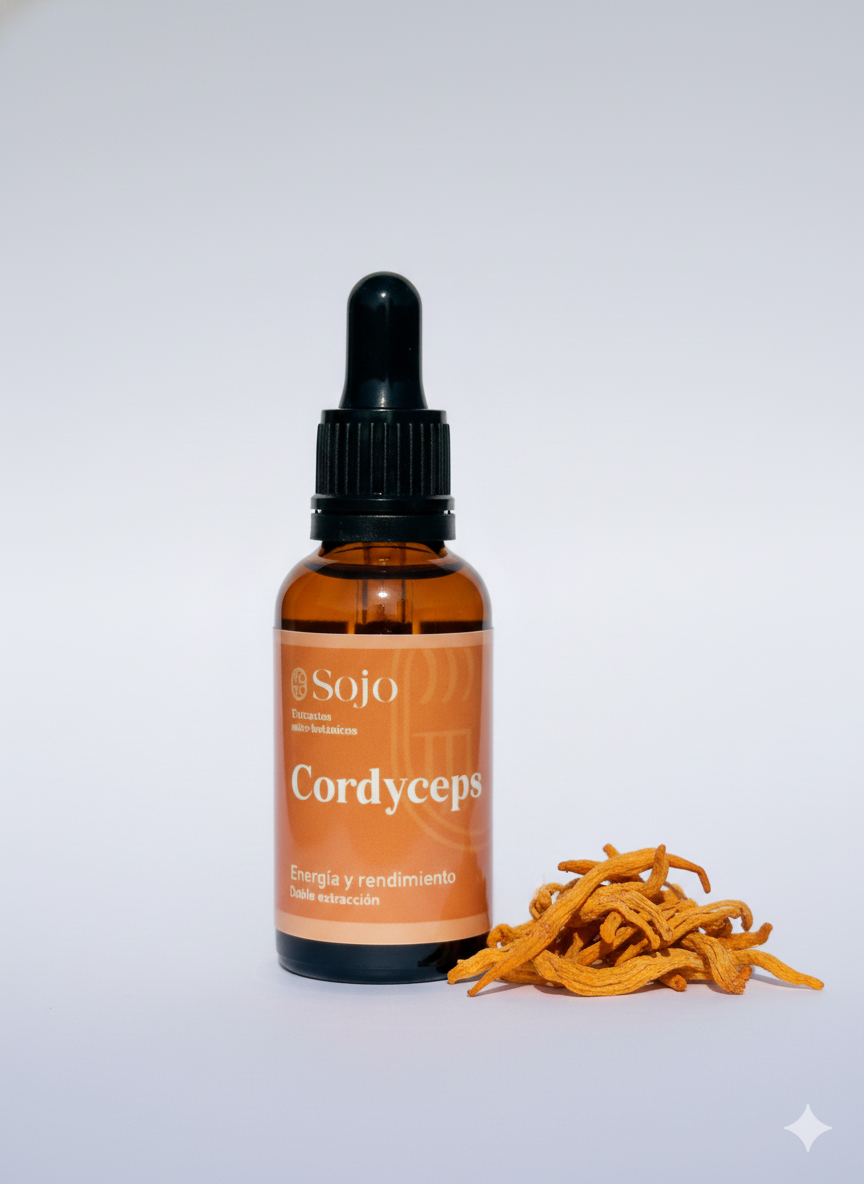 Extracto Doble de Cordyceps