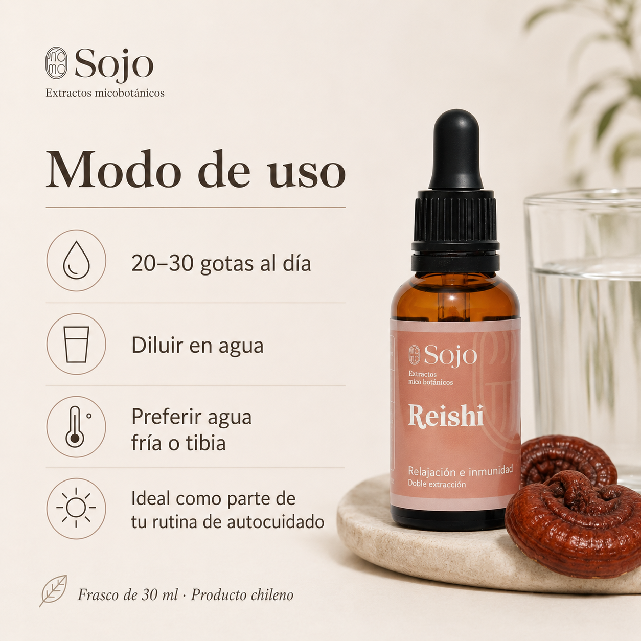Extracto de Reishi - Hongo Adaptógeno para el Descanso y el Estrés