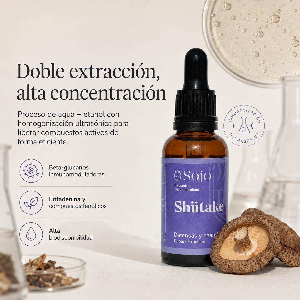 Extracto de Shiitake - Salud Cardiovascular y Defensas Naturales