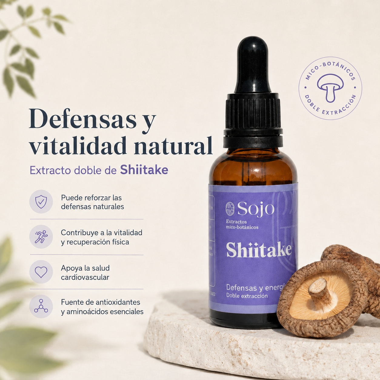 Extracto de Shiitake - Salud Cardiovascular y Defensas Naturales