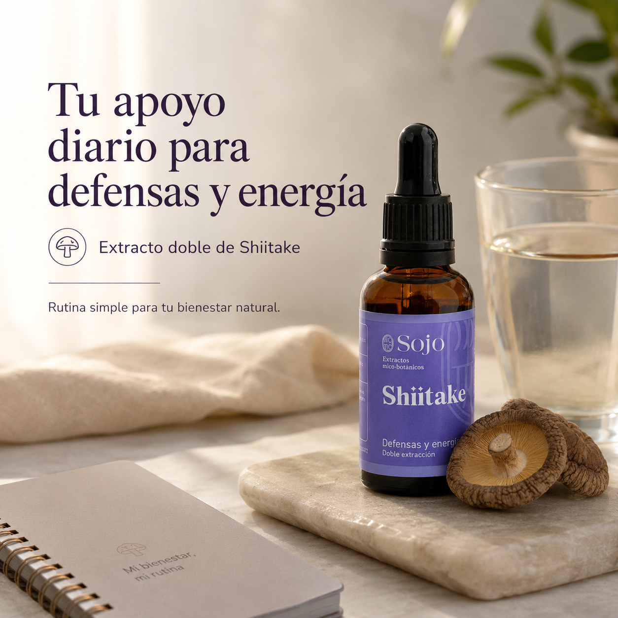 Extracto de Shiitake - Salud Cardiovascular y Defensas Naturales