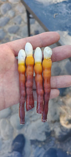 Claridad y relajación - Pack Melena de León y Reishi