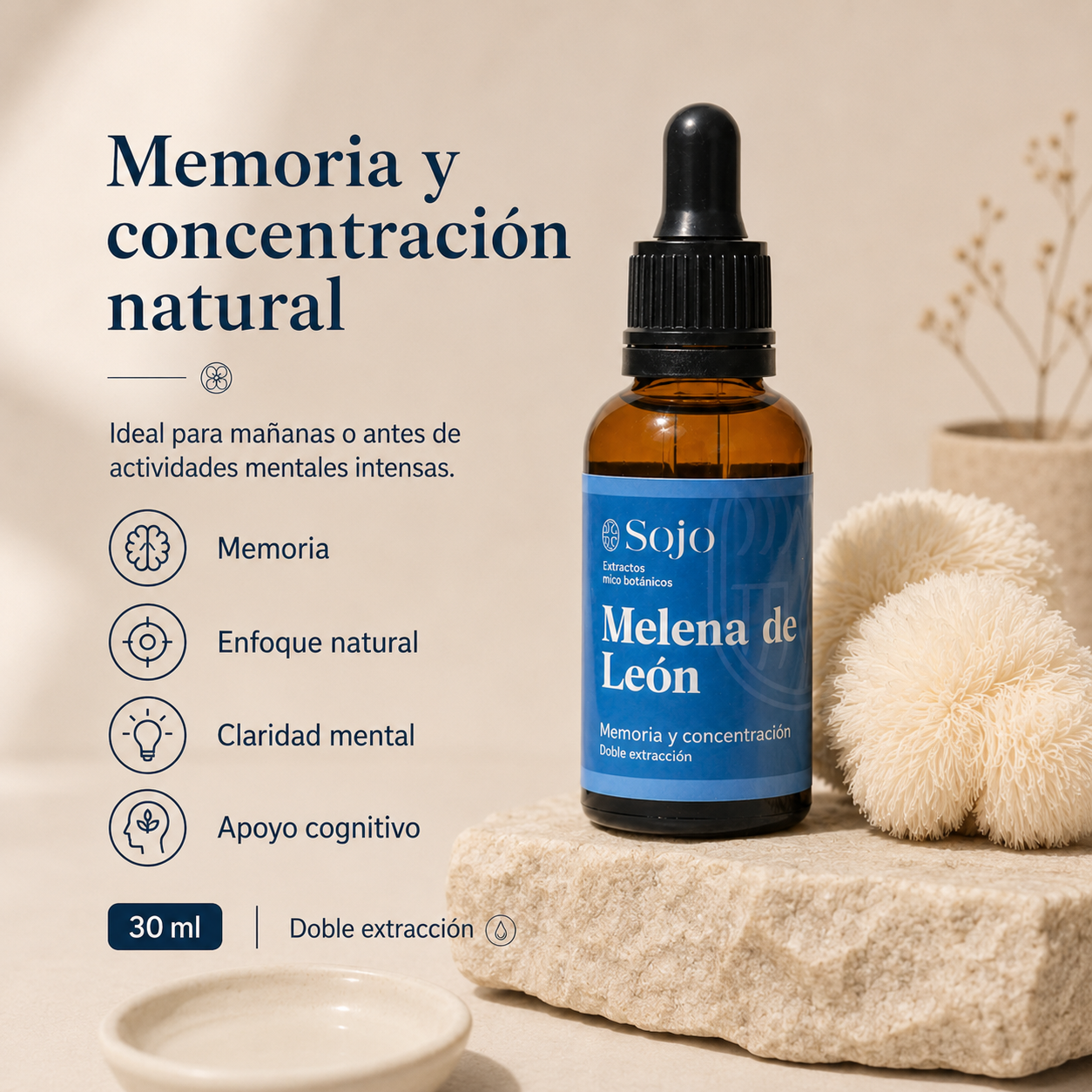 Extracto de Melena de León - Memoria y Enfoque Mental